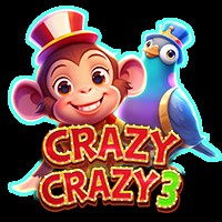 Crazy Crazy 3