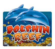 Dolphin Reef