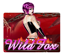 Wild Fox