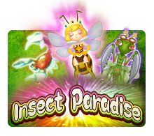 Insect Paradise